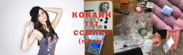 экстази Арсеньев
